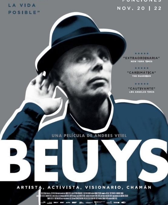 Cineco Alternativo: Beuys