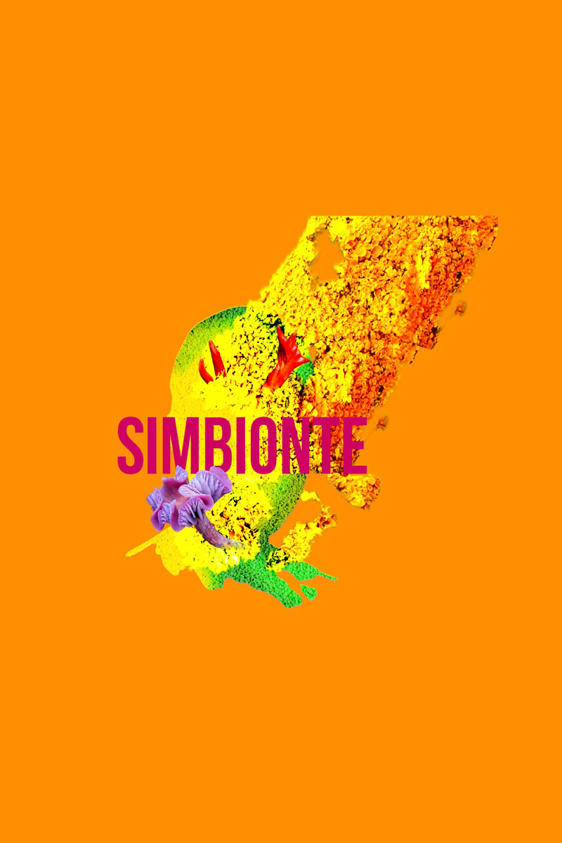 Simbionte: circuito de proyectos de grado de arte