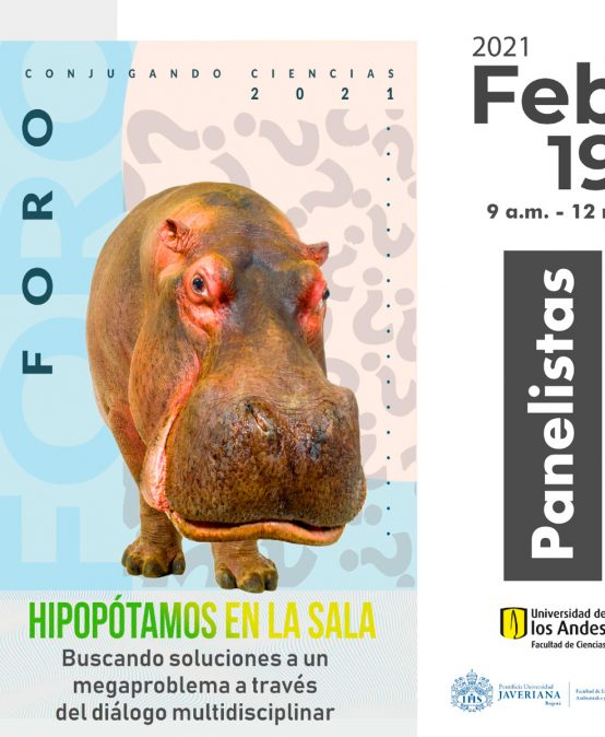 Conversatorio Hipopótamos en la casa