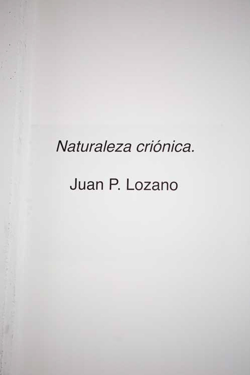 Juan Pablo Lozano