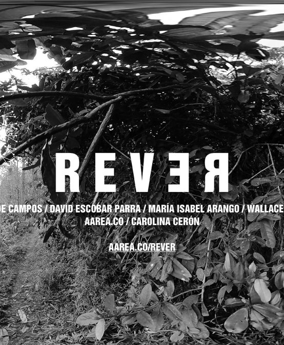 REVER: Exposición virtual y curaduría con Carolina Cerón