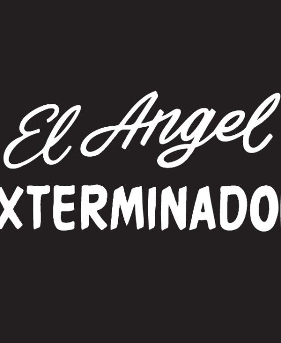 El ángel exterminador | Lucas Ospina en la galería Jenny Vilá