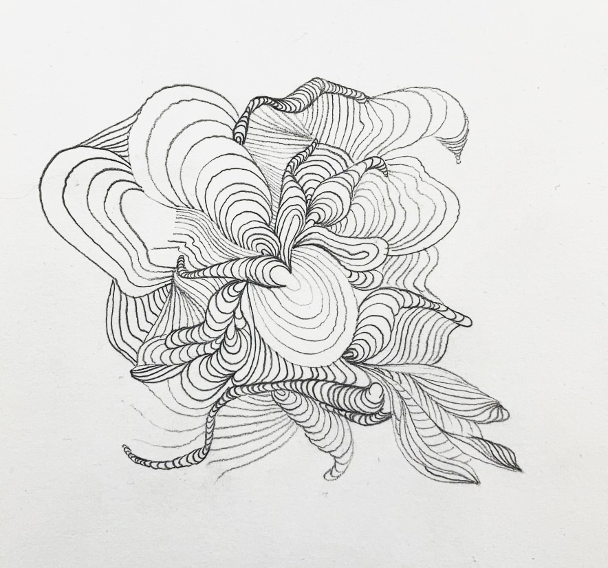 - Línea: Dibujo e ilustración
Profesora:  Juan Mejia