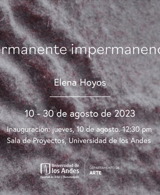 Permanente impermanencia, exposición de Elena Hoyos en la Sala de Proyectos