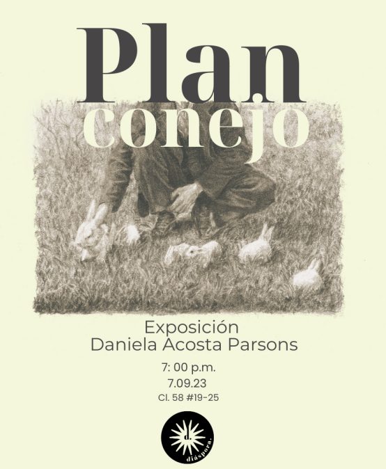 Plan conejo, exposición de Daniela Acosta Parsons