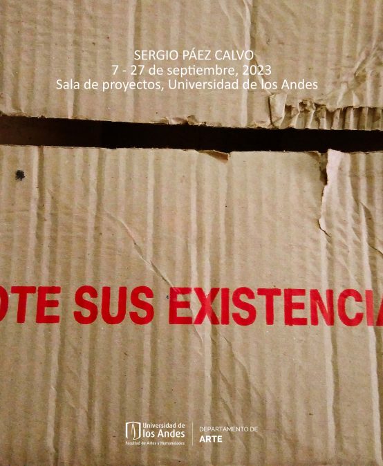 Rote sus existencias, Sergio Páez Calvo