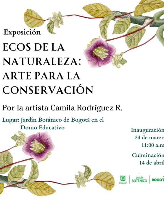 Ecos de la naturaleza: artes para la conservación, exposición de Camila Rodríguez en el Jardín Botánico
