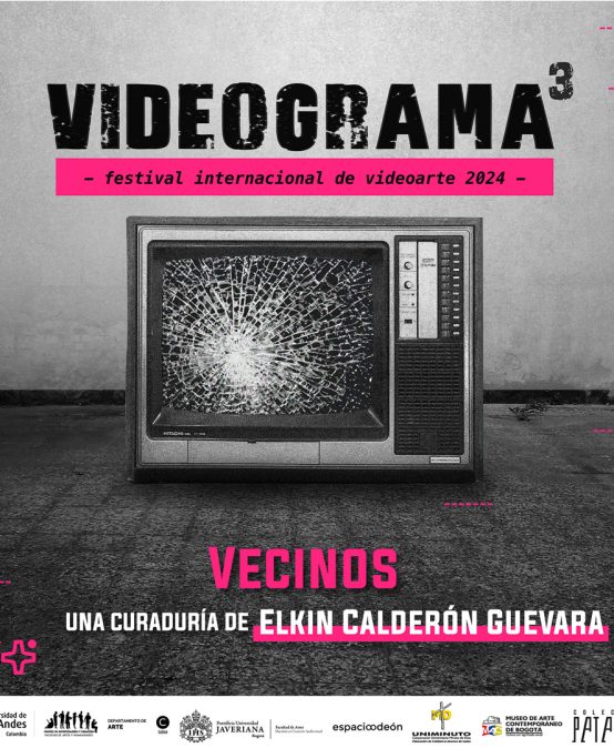 Vecinos, una curaduría de Elkin Calderón Guevara en Videograma 3