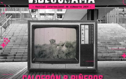Proyección especial “CALDERÓN Y PIÑEROS” en el Festival Internacional de Videoarte VIDEOGRAMA
