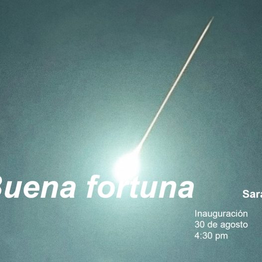 Buena fortuna - Exposición de la Sala de Proyectos