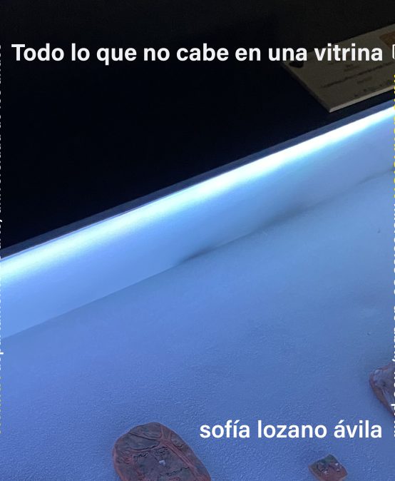 Exposición; Todo lo que no cabe en una vitrina | La Vitrina