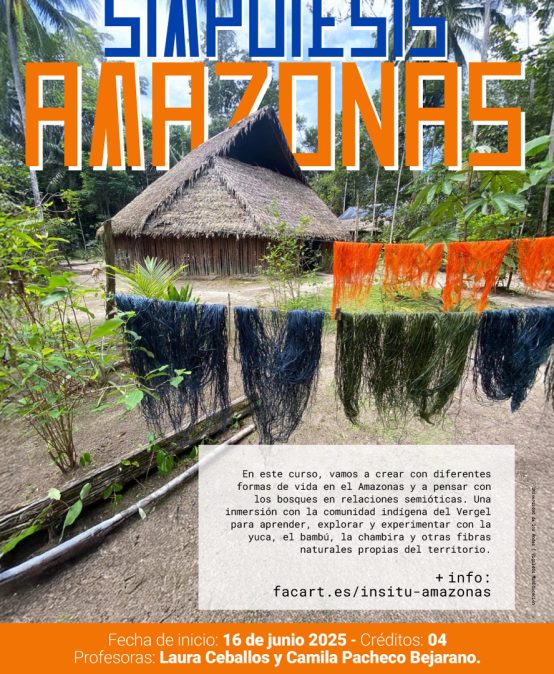 Curso: Arte y Ecología de Saberes en el Amazonas