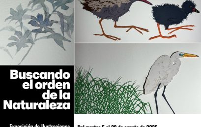 Exposición: Buscando el orden de la Naturaleza