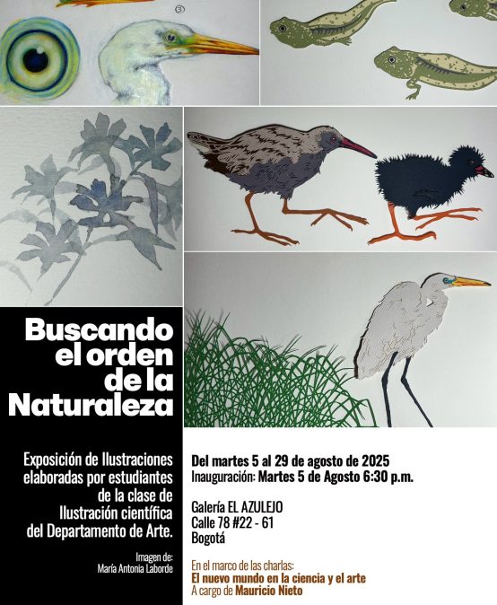 Exposición: Buscando el orden de la Naturaleza